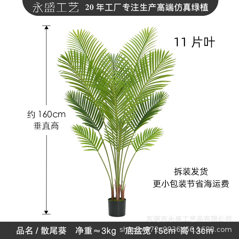 160cm loose anemone-b
