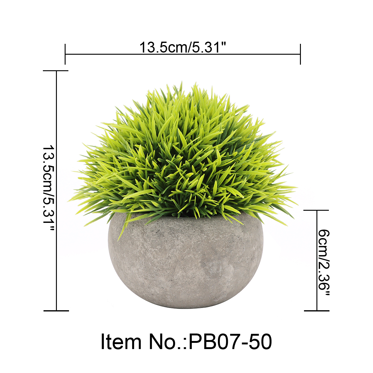 PB07-50 vert