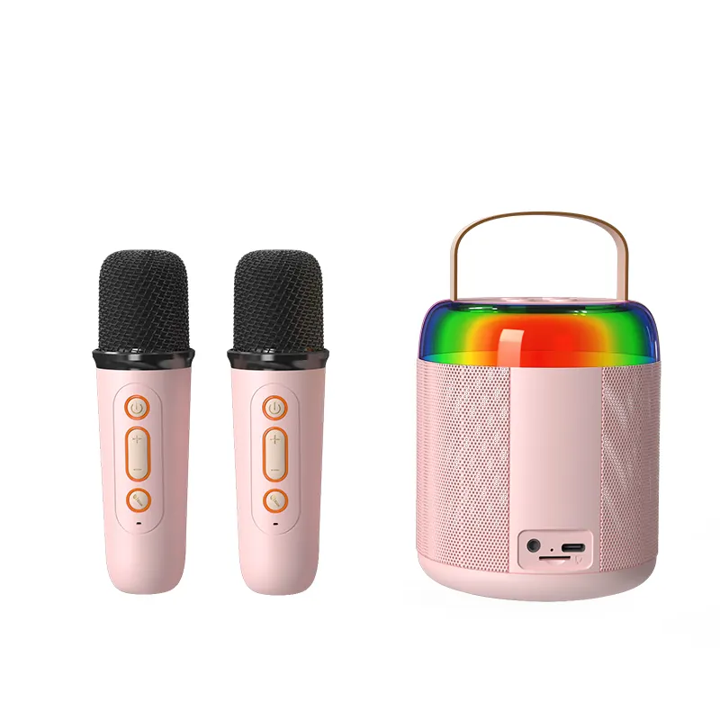 Hom mini Loa di động ngoài trời mini Đảng Bass Hifi BT loa với Mic nhà không dây karaoke loa