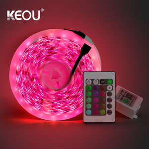 Ticari akıllı LED şerit işıklar 30M 10M 5M RGB renk kesilebilir dekoratif şerit işıklar uzaktan kumanda RoHS sertifikalı - Product Image 3