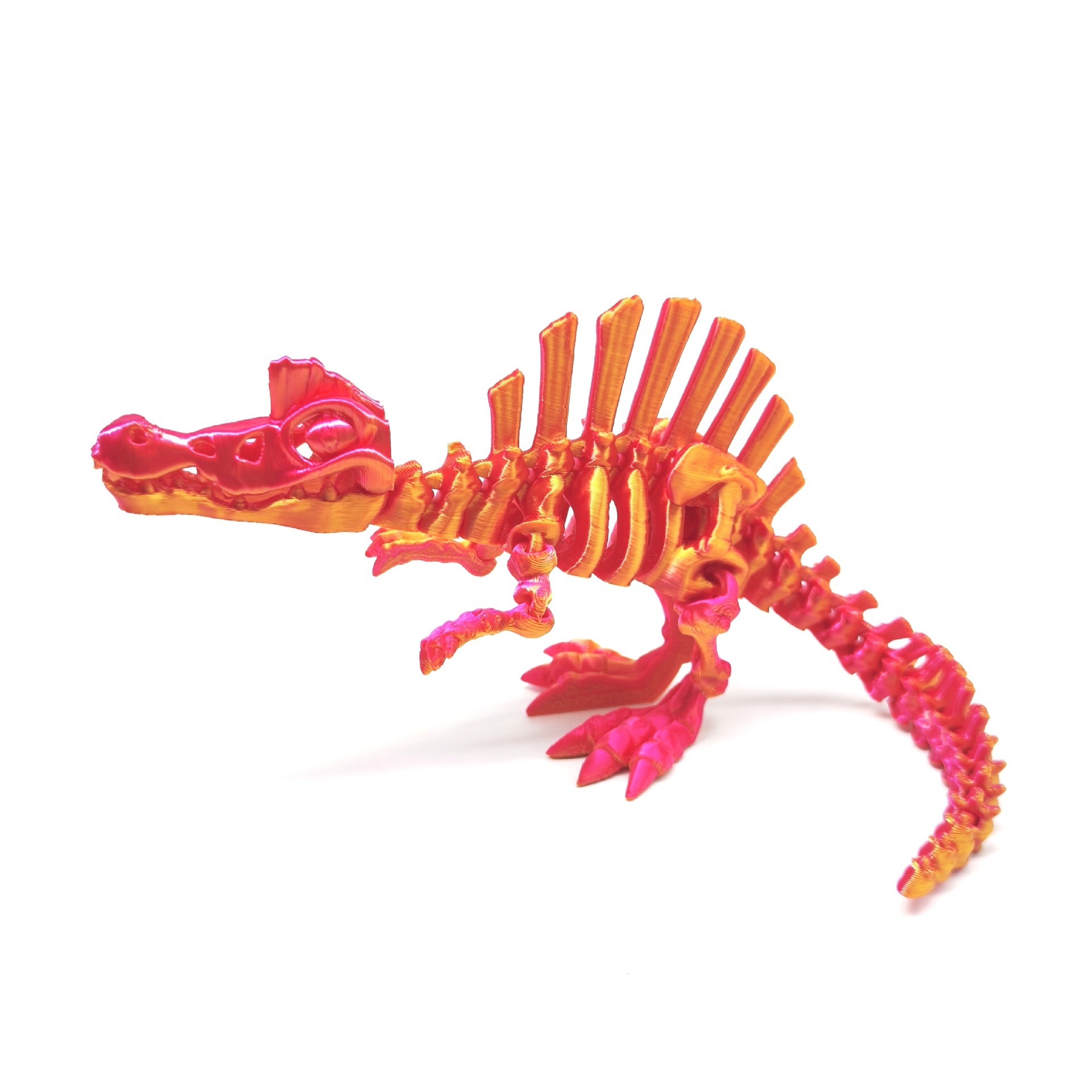 Dragon à dos épineux rouge-or
