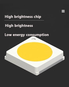 Led açık ışık 30W 50w 60w Led modül lamba Led diyot büyük çip ile 5 yıl garanti manzara lamba kamu parkları için - Product Image 4