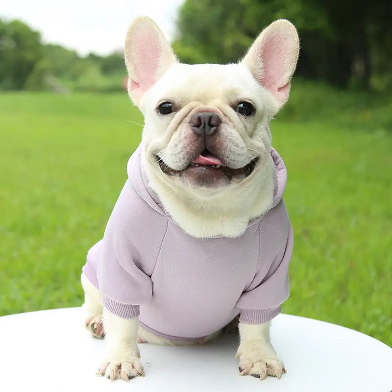 Sudadera con capucha personalizada para mascotas cálida de lana suave multicolor ropa para perros en blanco