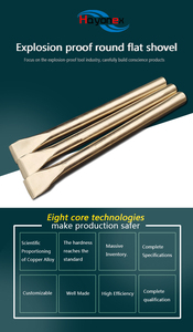 Tiếng Anh dịch & Giới thiệu của nhôm đồng chống cháy nổ Vòng phẳng đục - Product Image 6