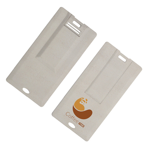 Daumenklappenaufnahme in Kartenform benutzerdefiniertes USB-Flash-Laufwerk 2.0 4 GB 16 GB Speicher Flash-Computer-Laufwerke Mini-USB-Stick