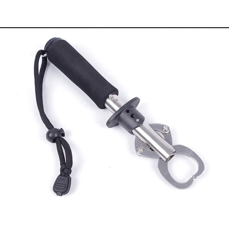 04 Fish controller with scale, 24.5 cm