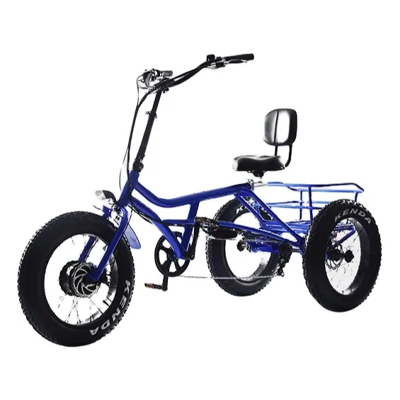 ファミリー3輪自転車リアボックスに使用される500W自転車付き電動貨物オプションのペダルアシストファットタイヤ電動自転車