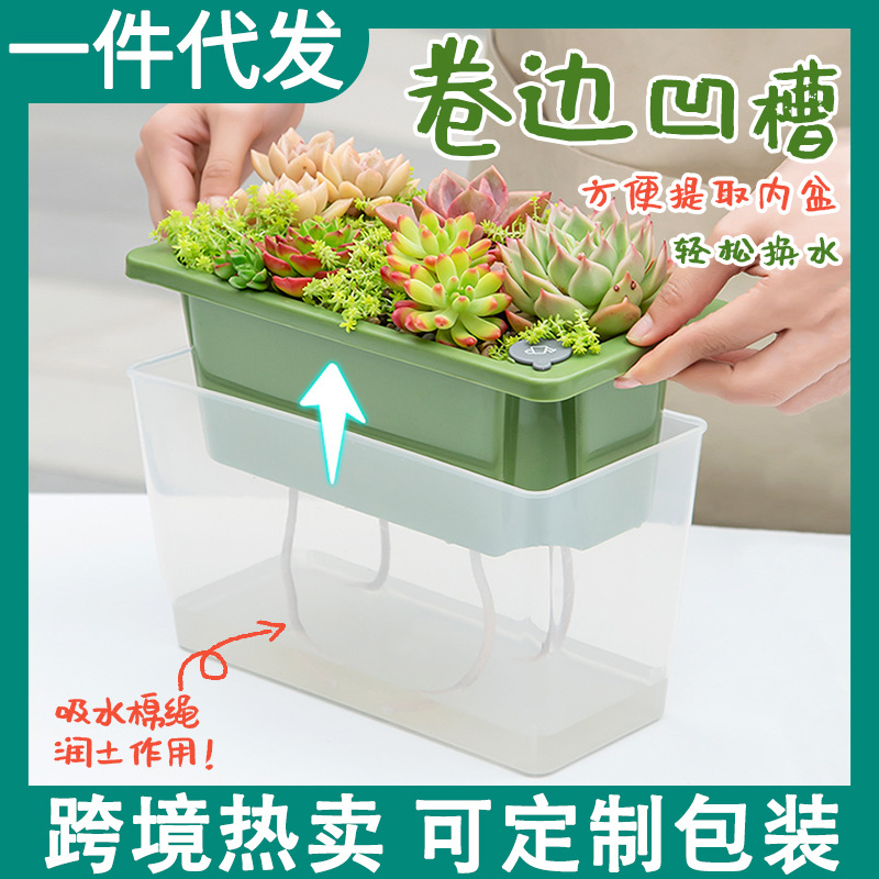 10 cordes individuelles absorbantes en coton