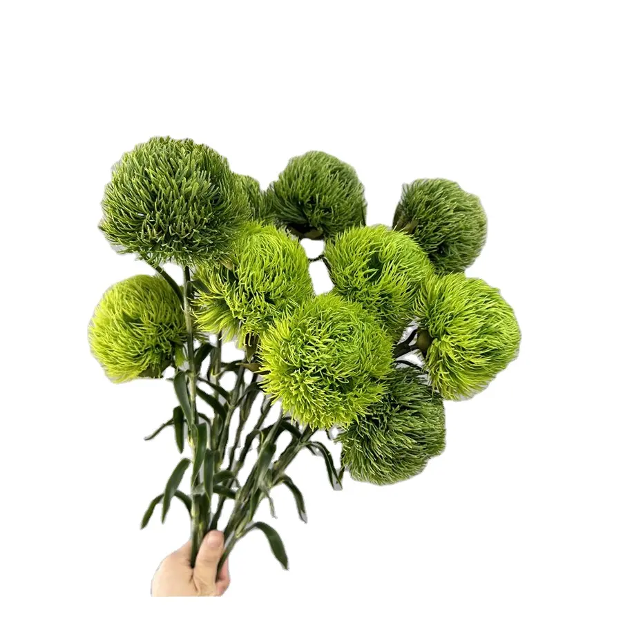 Venta directa de fábrica hecho por el hombre GreenDianthus venta al por mayor chino moderno hogar Decorationsingle verde Dianthus arreglo floral