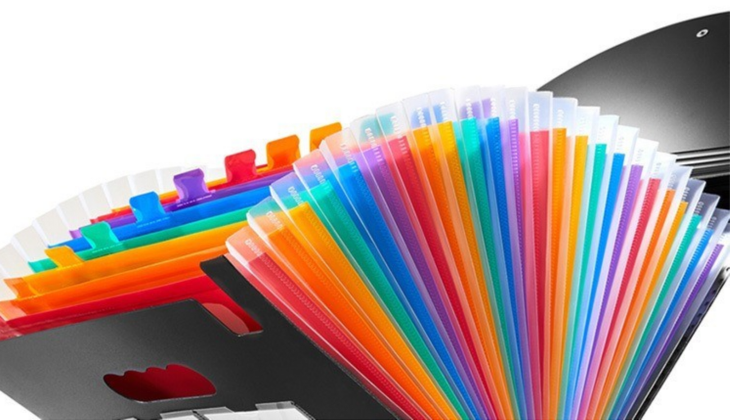 24color