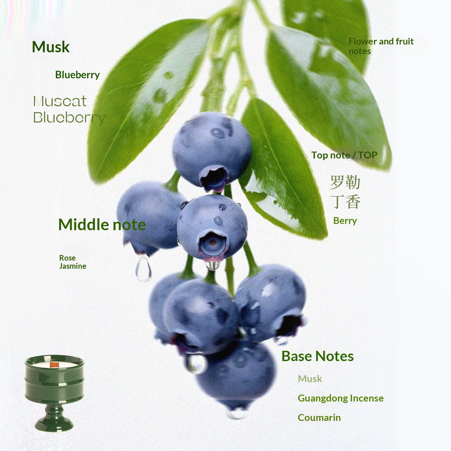 Green Cup - Muscat Blueberries