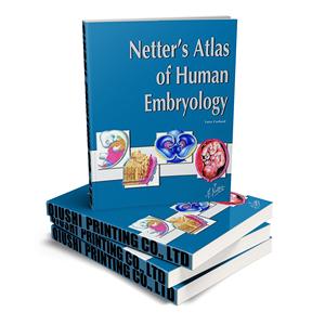 नेटर का मानव भ्रूण विज्ञान चिकित्सा पाठ्यपुस्तक मुद्रण छोटे मोक सीविंग बाध्यकारी - Product Image 1