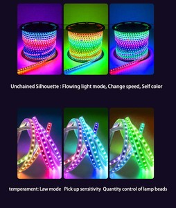 12V <strong>WS2811B</strong> RGBIC <strong>Led</strong> Pixel Light SMD5050 60LEDs/m 10MM IP65 IP68 PVC Flex Ws2811 Addressable <strong>LED</strong> Strips Outdoor Garden Lighting - Product Image 4