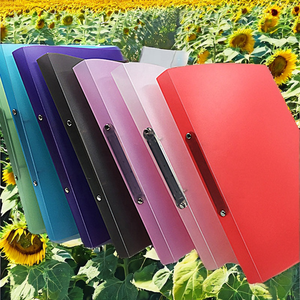 Đa-Màu Mờ Bìa Cứng PP Ngân Sách Chất Kết Dính 2-Lỗ Vòng A4 Thư Mục Tập Tin Văn Phòng Trường Nguồn Cung Cấp - Product Image 3