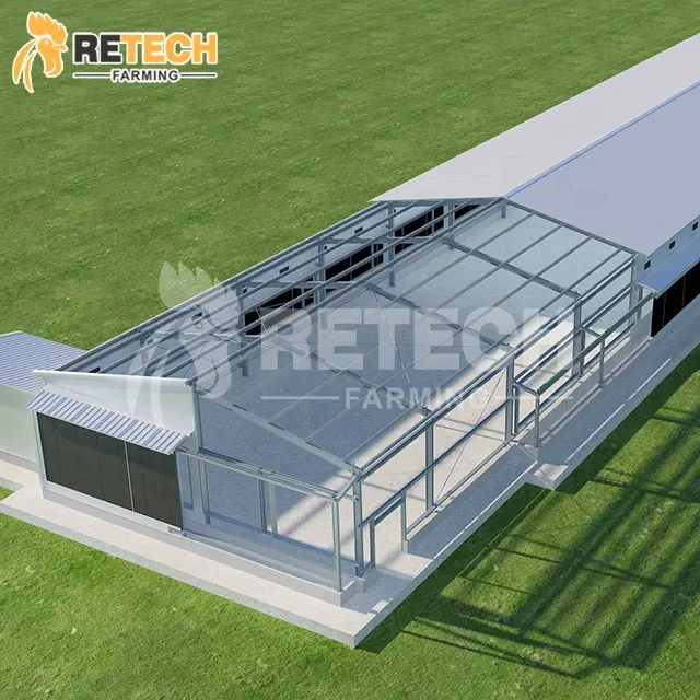 Construcción de estructura de acero prefabricada, diseño moderno, casa de aves de corral, cobertizo para granja de pollos de capas