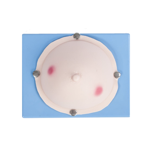 KyrenMed Breast Abscess Incision Practice Model Breast Examination Model Visual Inspection <strong>Palpation</strong> Mammary Abscess Examination - Product Image 4
