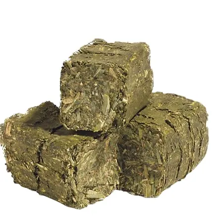 Cubos de pellets de heno de alfalfa más vendidos listos para exportar