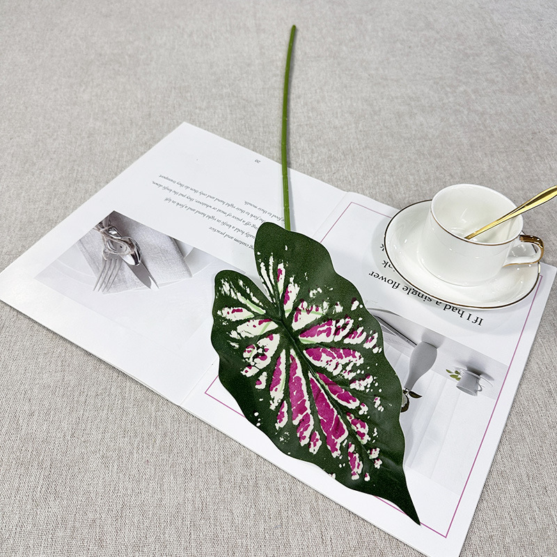Une seule couleur feuille de taro violet coeur vert