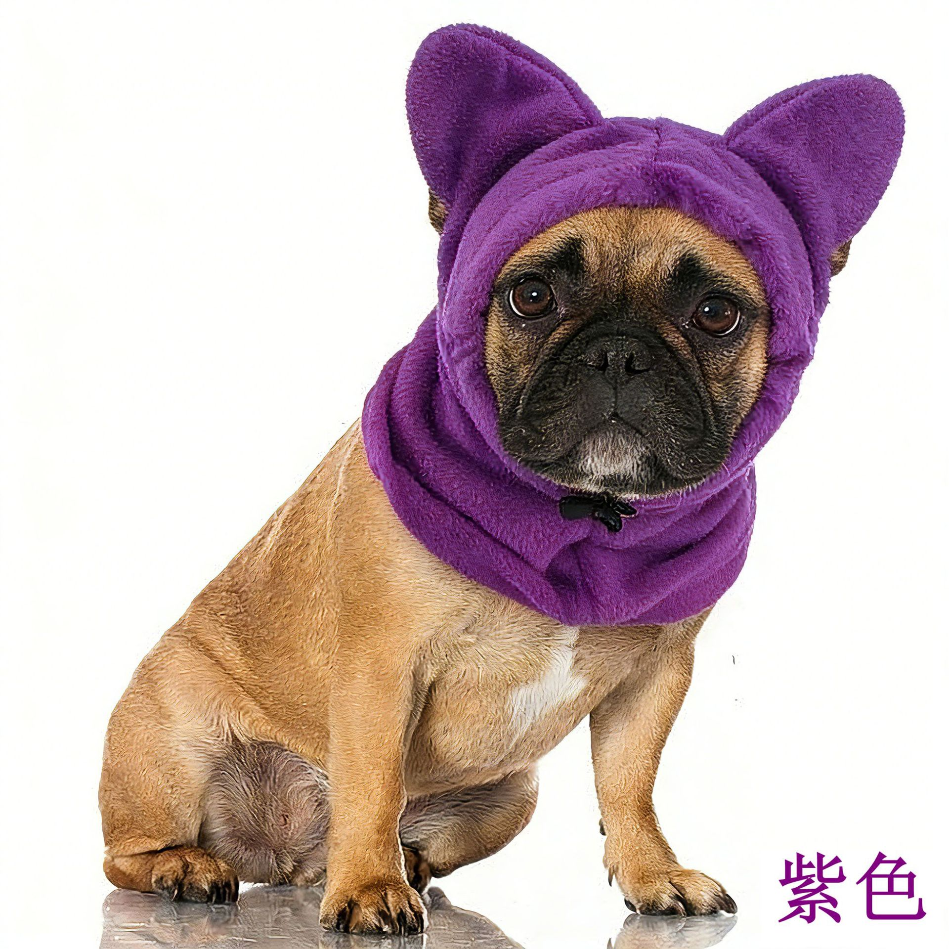 Pourpre
