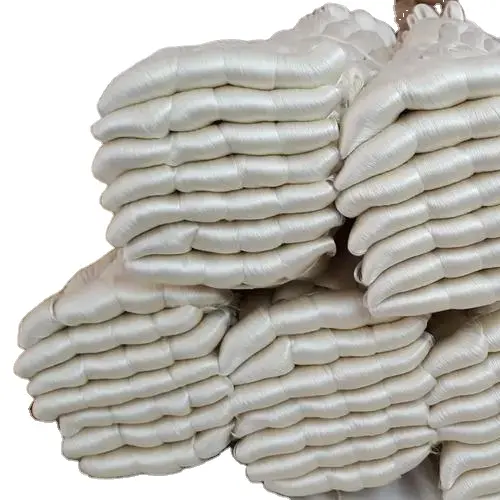 Soie brute de haute qualité 20/22d au vietnam pour les conceptions de kurti de tissu de soie brute