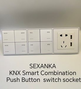 SEXANKA <span class=keywords><strong>KNX</strong></span> EIB akıllı ev bina otomatik sistem akıllı iki kutuplu kombinasyon basmalı düğme anahtarı ve USB arayüzü ile soket - Product Image 5
