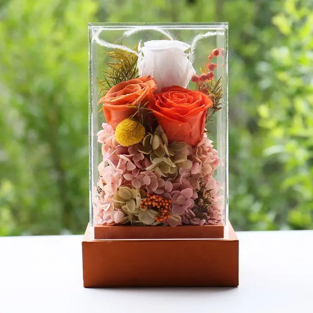 Décoration pour événement de mariage boîte en acrylique avec roses simples conservées et fleur éternelle immortelle naturelle sèche de l'infini