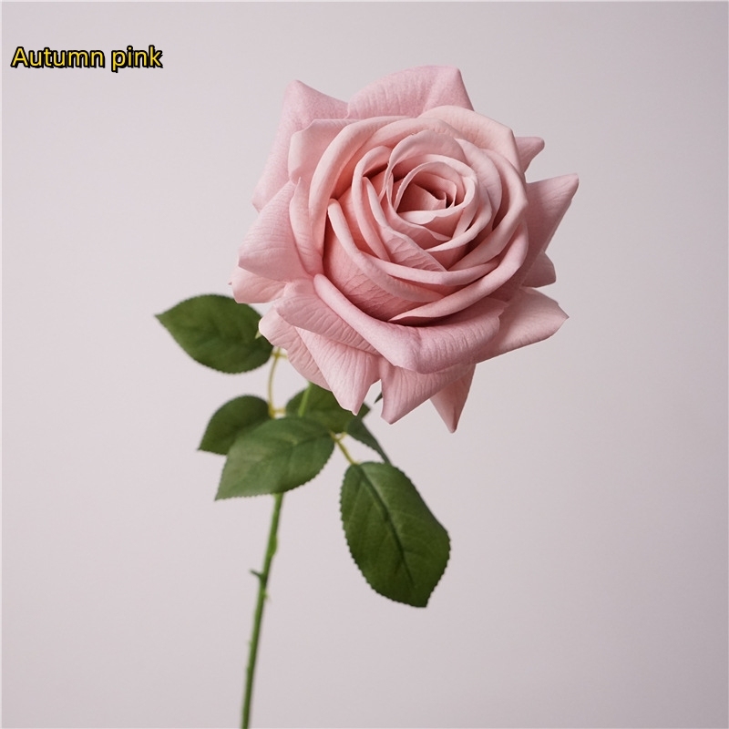Rosa autunnale