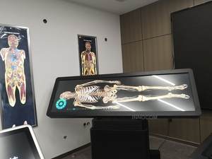 Medical University Teaching Learning Digital <strong>Human</strong> Anatomy System 3D Body HD Digihuman Virtual Anatomage Table - Product Image 5