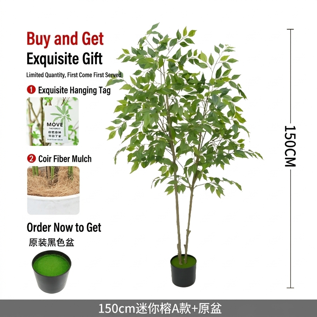 150cm Banyan Tree