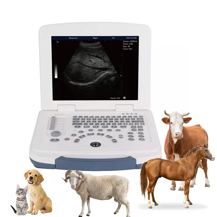Veteriner-2 siyah beyaz dizüstü hayvanlar veteriner ultrason makinesinde hamilelik tespit