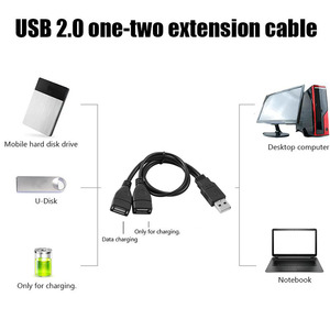 1オスプラグから2メスソケットUSB2.0延長データケーブル電源アダプターコンバーターYスプリッターUSB2.0ケーブル30cm - Product Image 6