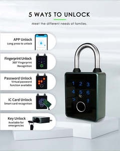 Heavy Duty Smart Fingerprint <strong>Key</strong> Backup Weatherproof App-Controlled Keyless <strong>Entry</strong> Electronic Combination <strong>Lock</strong> for Outdoor Fence