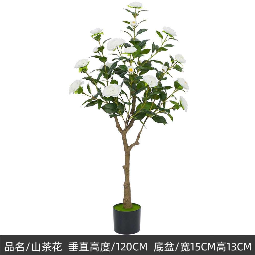120cm camélia blanc