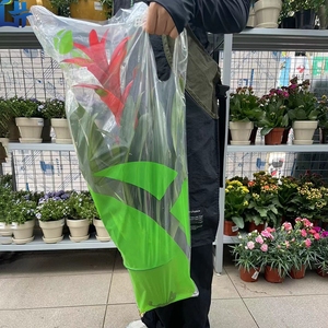 透明HDPE花朵印花小透明礼品袋，带定制标志塑料袋，不同手柄形状的花朵 - Product Image 2
