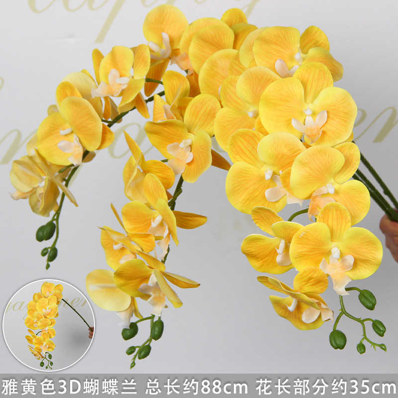Élégante orchidée Phalaenopsis jaune à 9 têtes (imprimée en 3D)