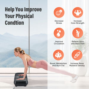 Hochwertige tragbare Crazy Body Shaper Vibrations platte Maschine ABS-Material Vertikale Richtung Passend für Körper massage - Product Image 6