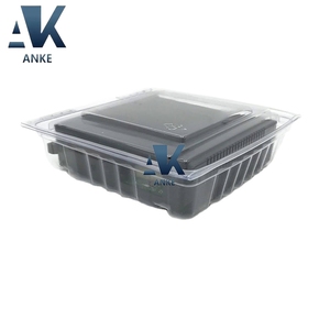 IC693ALG220F Módulo de entrada analógica PLC de voltaje GE 4PT nuevo y original Módulo PLC - Product Image 4