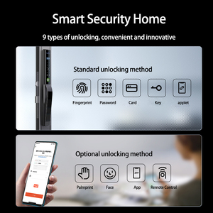 Tam otomatik Tuya TTlock ince akıllı kilit Palm damarlar biyometrik 3D yüz tanıma Silding kapı için parmak izi elektronik kilit - Product Image 2