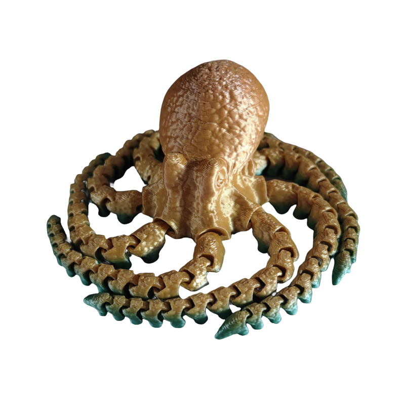 Marron 20CM