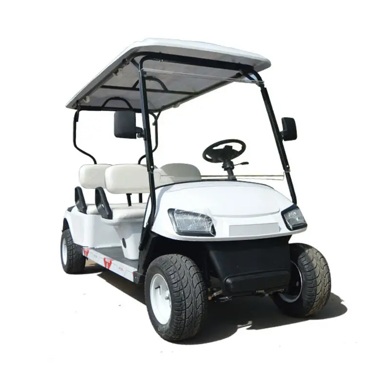Battery Operated 2 Seater Electric Golf Cart Golf Buggy