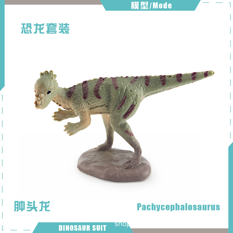 BL-5251 Pachycephalus 4g