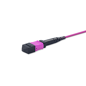 OM3/OM4/OM5 MTP MPO in fibra ottica Patch Cord SM/MM/OM3/OM4/OM5 Multi Fiber Jumper per rete Telecom 5G - Product Image 3