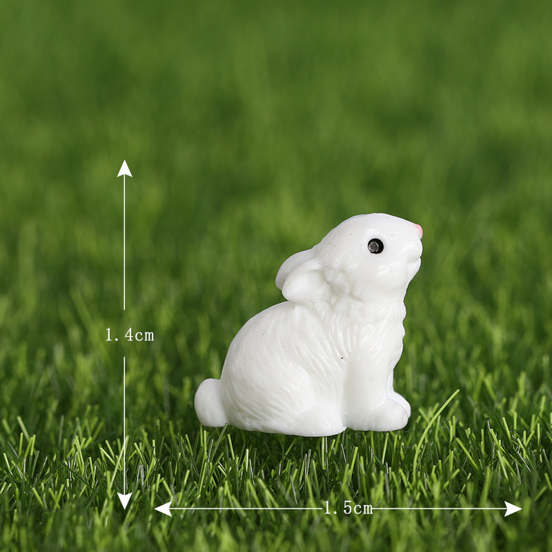 6#Rabbit