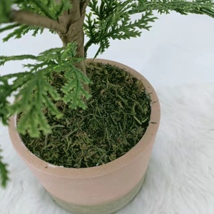 装飾屋外安い木人工ヒノキの葉の木 - Product Image 5