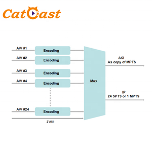 TV digitale 12 16 20 24 canales Encoder CVBS a IP Encoder MPEG2 SD Encoder - Product Image 5