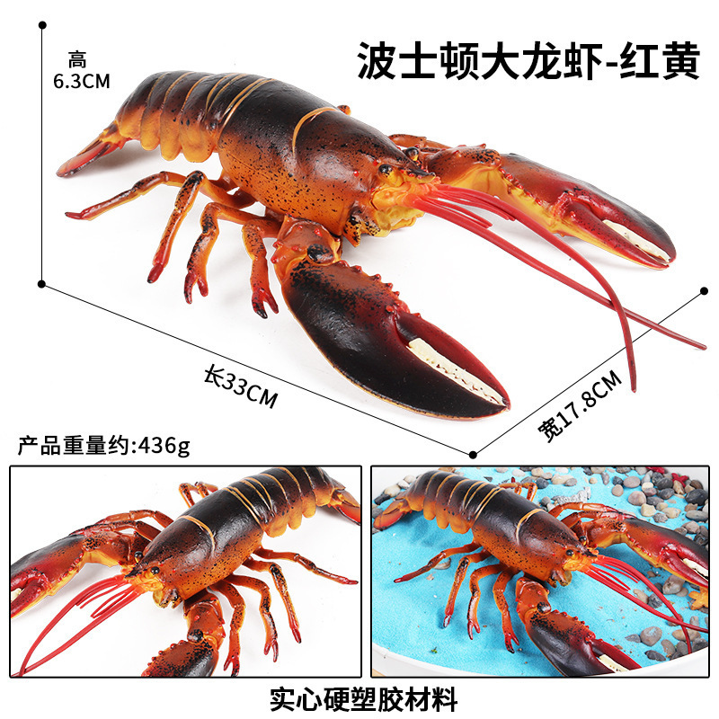 colorato 2614 Boston Lobster (giallo e rosso)