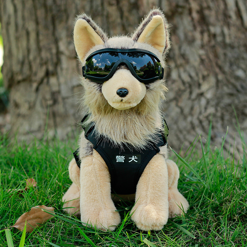 2-lunettes noires
