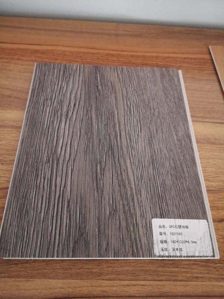 Dark Wood 3