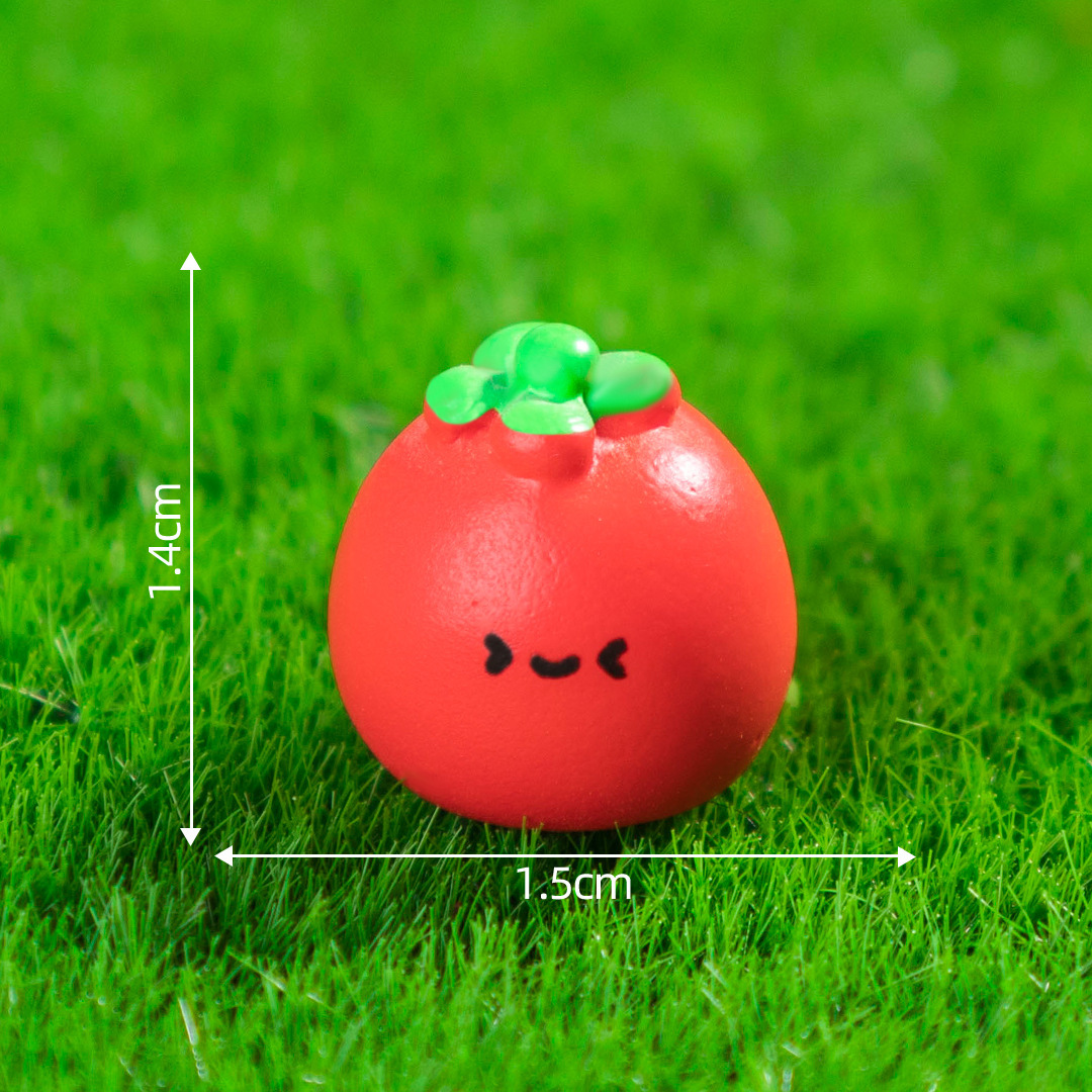 6 tomates colorées