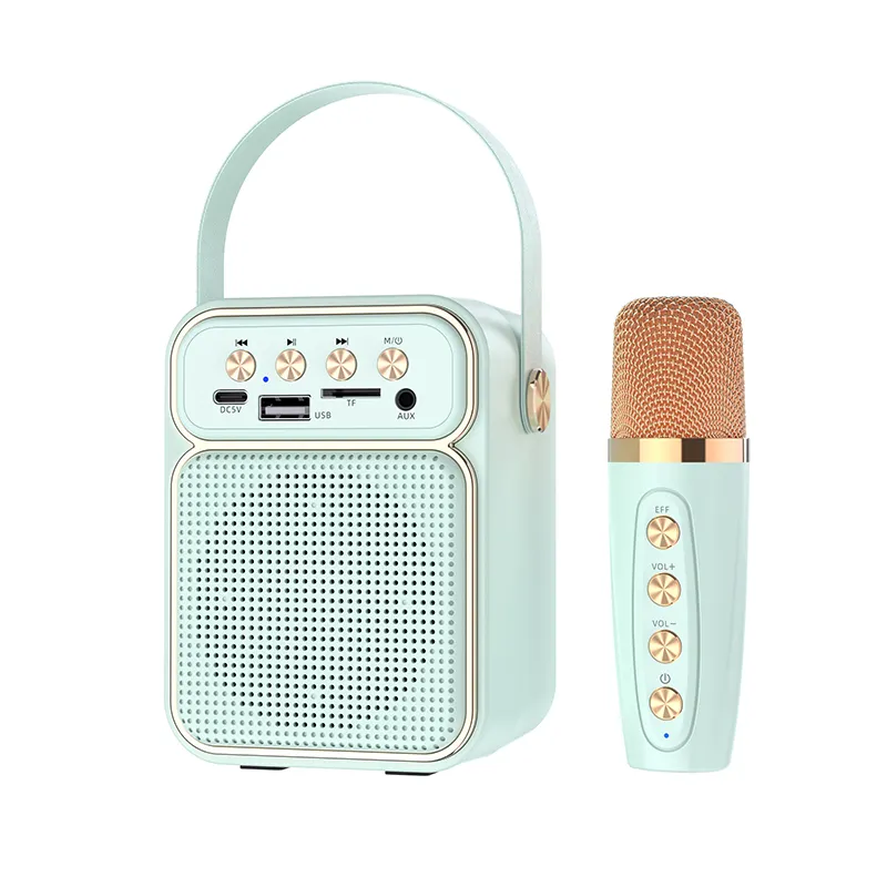 Máquina de karaoke para adultos y niños, máquina de karaoke portátil Bluetooh con soporte para teléfono móvil, sistema de altavoces PA, 2 unidades